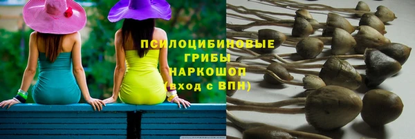 круглые Каменка