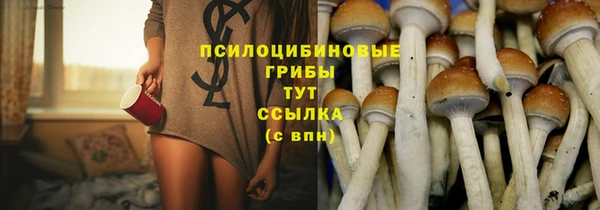 круглые Каменка