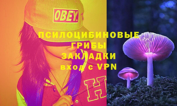СК Касимов