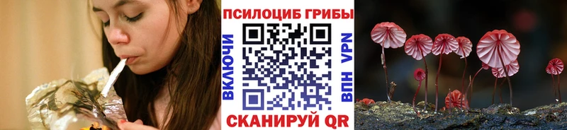 Псилоцибиновые грибы ЛСД  Купить закладки  Пугачёв 