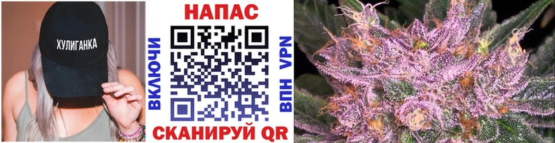 Купить где  Пугачёв  Каннабис конопля 